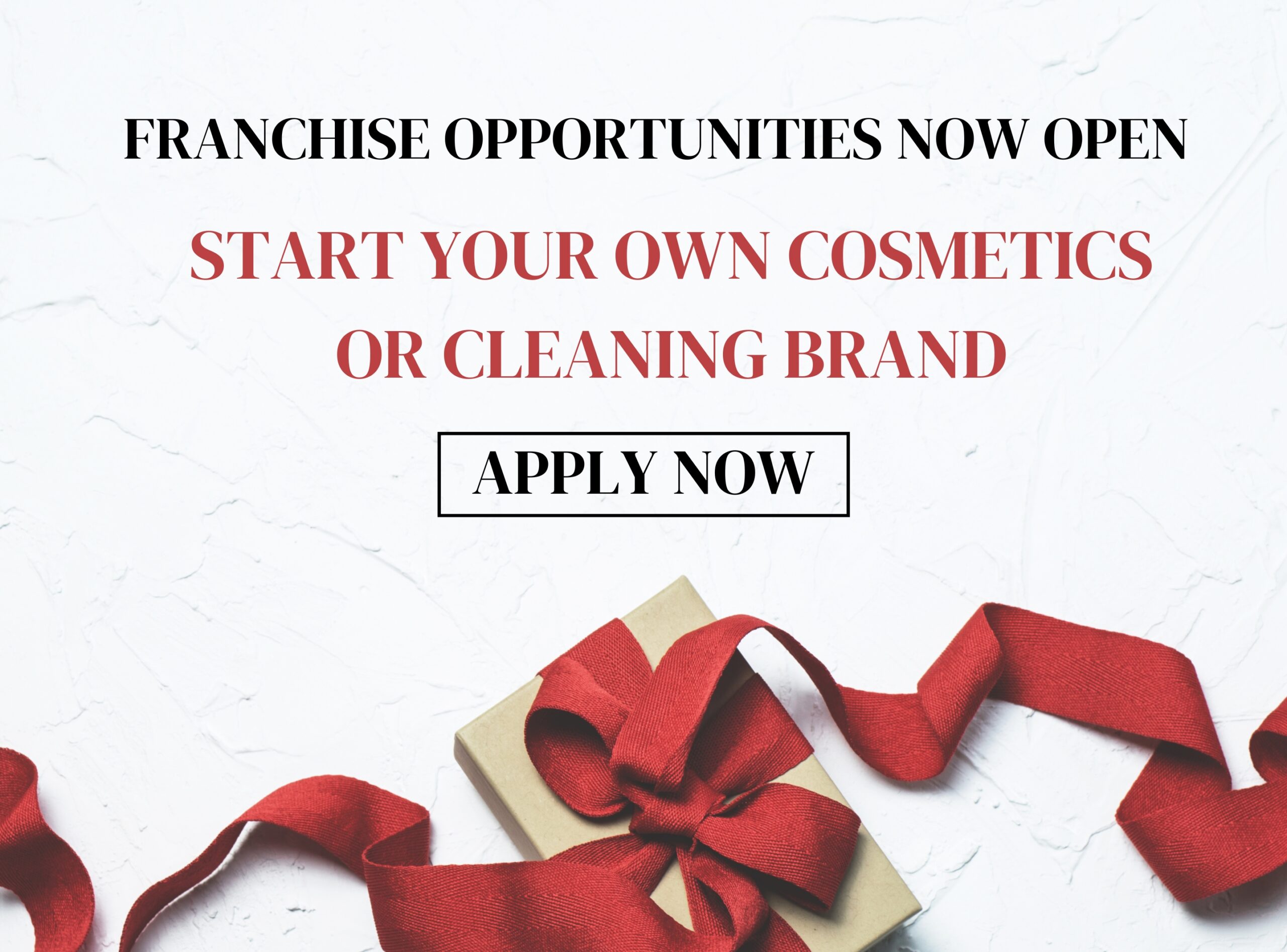 Franchise Opportunities Now Open